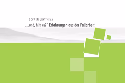 Titelblatt des Tätigkeitsberichts 2013 (PDF)