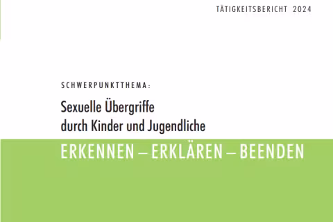 Tätigkeitsbericht 2024 - PDF